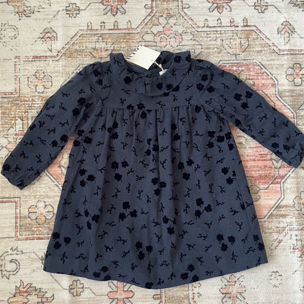 Zara dress